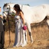IMG_4312 IMG_4312