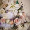 IMG_4722 IMG_4722