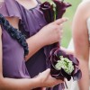 IMG_5704 IMG_5704