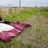 IMG_5786 IMG_5786