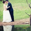 IMG_6029 IMG_6029