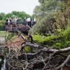 IMG_6038 IMG_6038