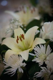 img_9645 img_9645