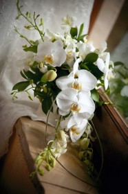 img_6003 img_6003