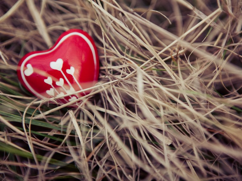 DESIGNER PRO III020720130843090927_004