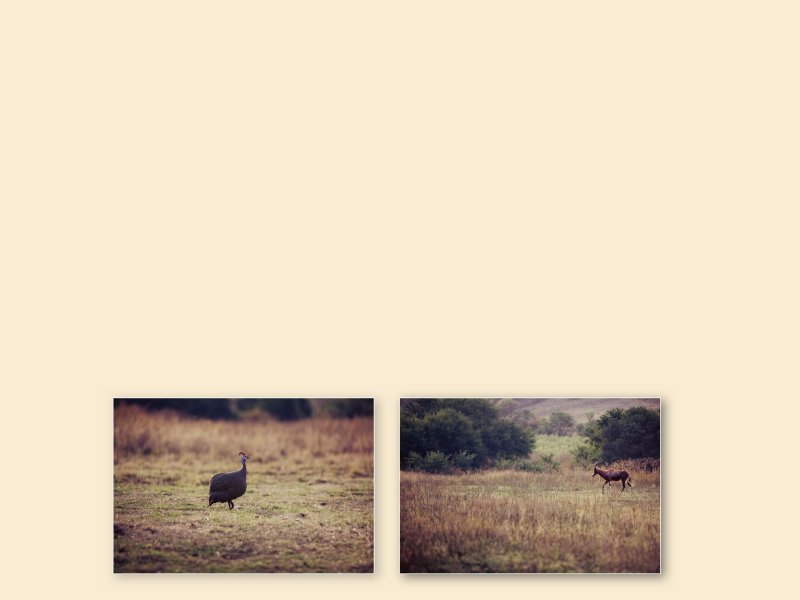 DESIGNER PRO III020720130843090927_008