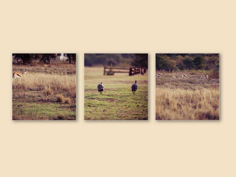 DESIGNER PRO III020720130843090927_012