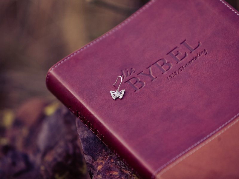 DESIGNER PRO III020720130843090927_015