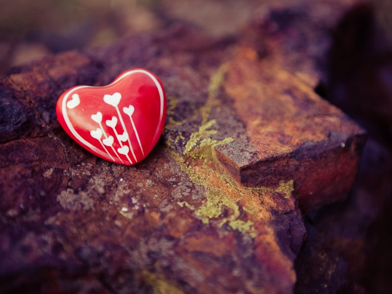 DESIGNER PRO III020720130843090927_022