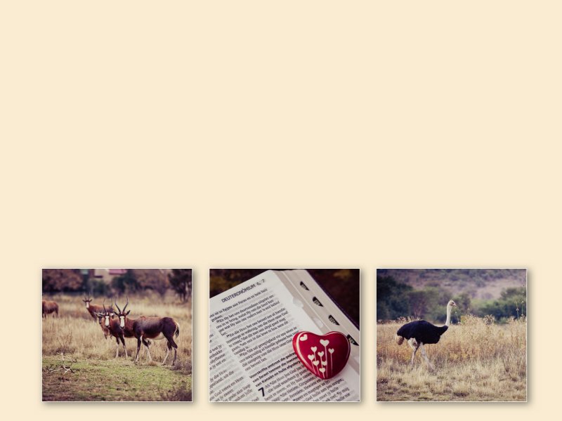 DESIGNER PRO III020720130843090927_025