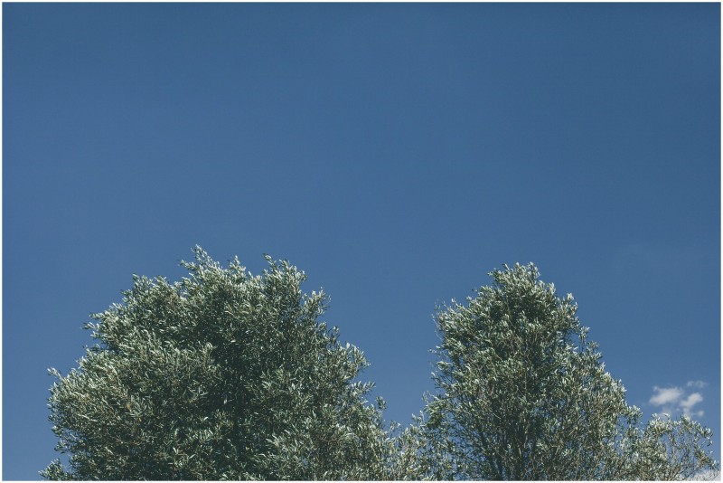 GarickvanStaden_Wynand&Lia0099Mint