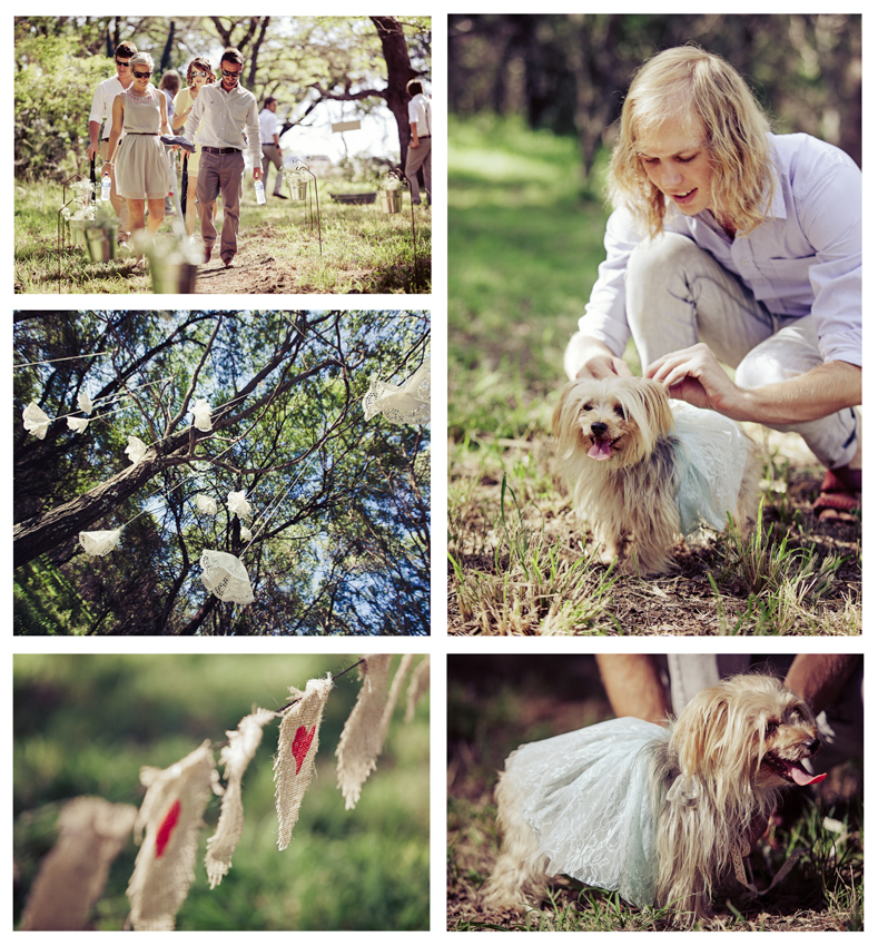 Lucinda du Toit_Rohan & Bennedy_0494+510+22+6+786VT