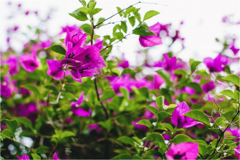 GarickvanStaden_Ben&Tanya0138