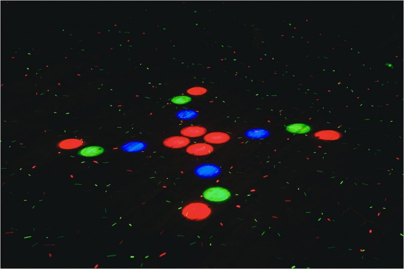 GarickvanStaden_Gordon&Rene_IMG_7931