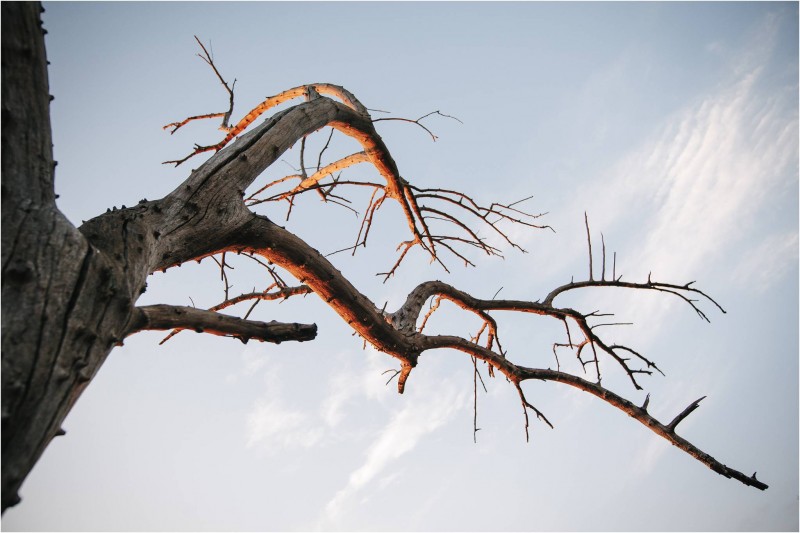 GarickvanStaden_Vernon&Chrizanne0954