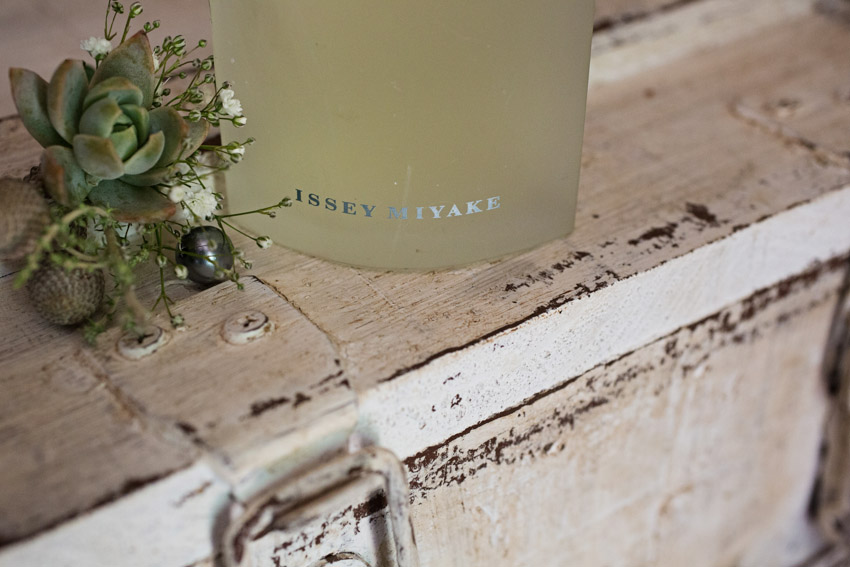 Lucinda du Toit_Henro & Anél_2208