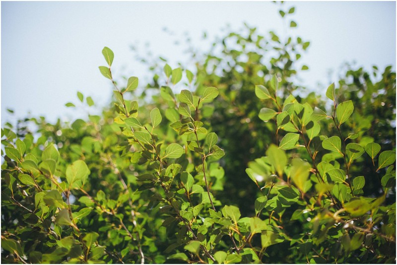 GarickvanStaden_Steven&Jany0012